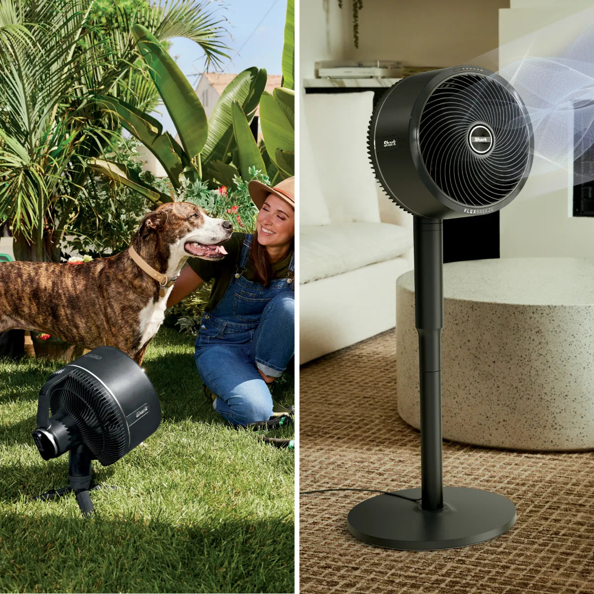 Ventilador Shark® FA200